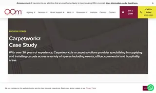 Preview of the Carpetworkz Case Study