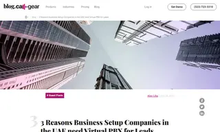Preview of the Business Setup Companies in the UAE Case Study