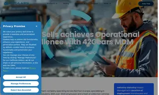 Preview of the Ragn-Sells Case Study