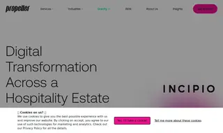Preview of the Incipio Group Case Study