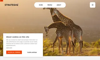 Preview of the Jacada Travel Case Study