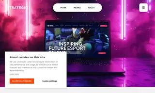 Preview of the British Esports Federation Case Study
