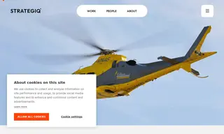 Preview of the The Air Ambulance Service Case Study