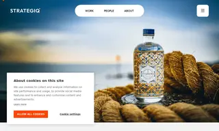 Preview of the Fishers Gin Case Study