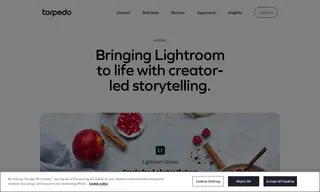 Preview of the Adobe Case Study