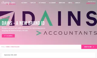 Preview of the Dains Accountants Case Study