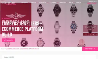 Preview of the Lumbers Jewellers Case Study