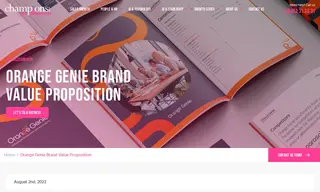 Preview of the Orange Genie Case Study