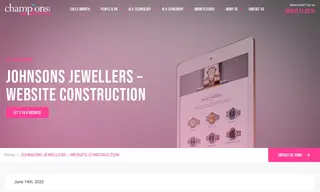Preview of the Johnsons Jewellers Case Study