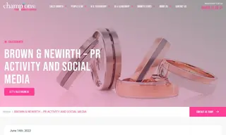 Preview of the Brown & Newirth Case Study
