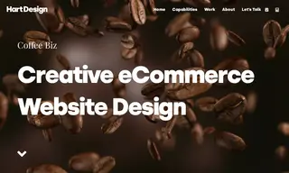 Preview of the Coffee Biz Case Study