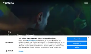 Preview of the Blu Case Study