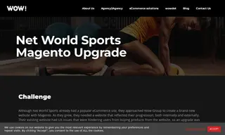 Preview of the Net World Sports Case Study