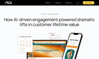 Preview of the AIQ Case Study