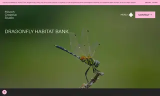 Preview of the Dragonfly Habitat Bank Case Study