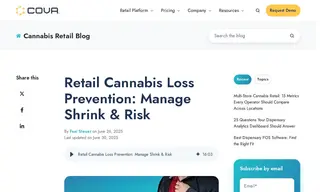 Preview of the Sapphire Risk Advisory Group Case Study