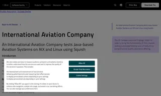 Preview of the International Aviation Company Case Study