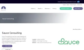 Preview of the Sauce Consulting Case Study