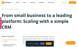 Preview of the Sales Agents Uk Case Study