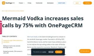 Preview of the Mermaid Vodka Case Study