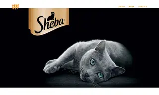 Preview of the Sheba Case Study