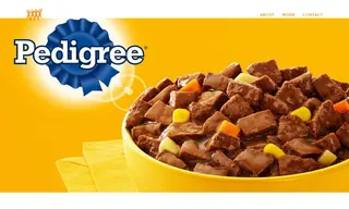 Preview of the Pedigree Case Study