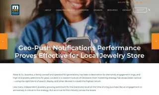 Preview of the Peter & Co. Jewelers Case Study