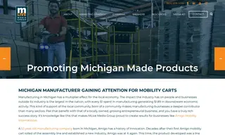 Preview of the Amigo Mobility International Case Study