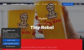 Preview of the Tiny Rebel Case Study