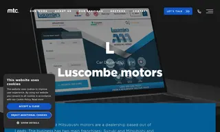 Preview of the Luscombe Motors Case Study