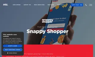 Preview of the Snappy Shopper Case Study