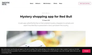 Preview of the Red Bull Case Study