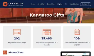 Preview of the Kangaroo Gifts Case Study