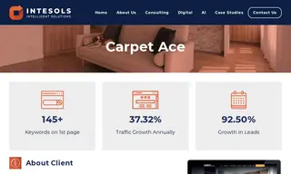 Preview of the Carpet Ace Case Study