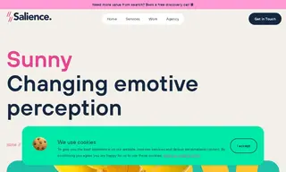 Preview of the Sunny Case Study