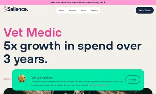 Preview of the Vet Medic Case Study