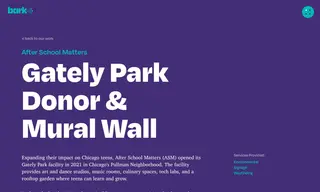 Preview of the After School Matters (ASM) Case Study