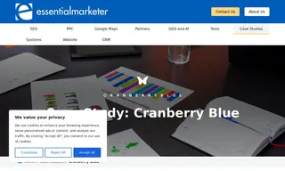 Preview of the Cranberry Blue Case Study
