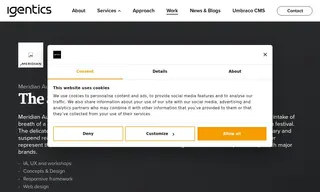 Preview of the Meridian Audio Case Study