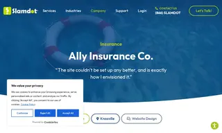 Preview of the Ally Insurance Co Case Study
