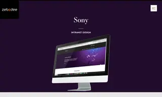 Preview of the Sony Computer Entertainment International (Sony IDD) Case Study