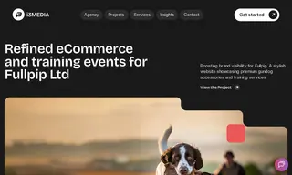 Preview of the Fullpip Ltd Case Study