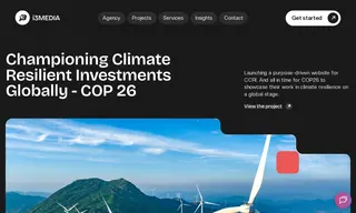 Preview of the Coalition for Climate Resilient Investment Case Study