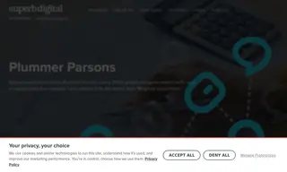 Preview of the Plummer Parsons Case Study