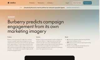Preview of the Burberry Case Study