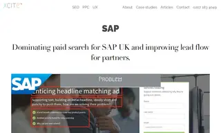 Preview of the SAP Case Study