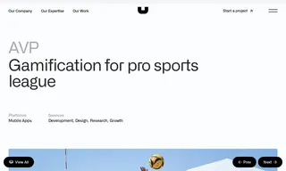 Preview of the Association of Volleyball Professionals (avp) Case Study