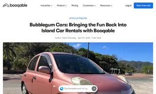 Preview of the Bubblegum Cars Case Study
