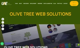 Preview of the Olive Tree Web Solutions Case Study