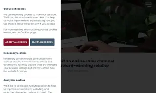 Preview of the Silver Tree Jewellery Case Study
